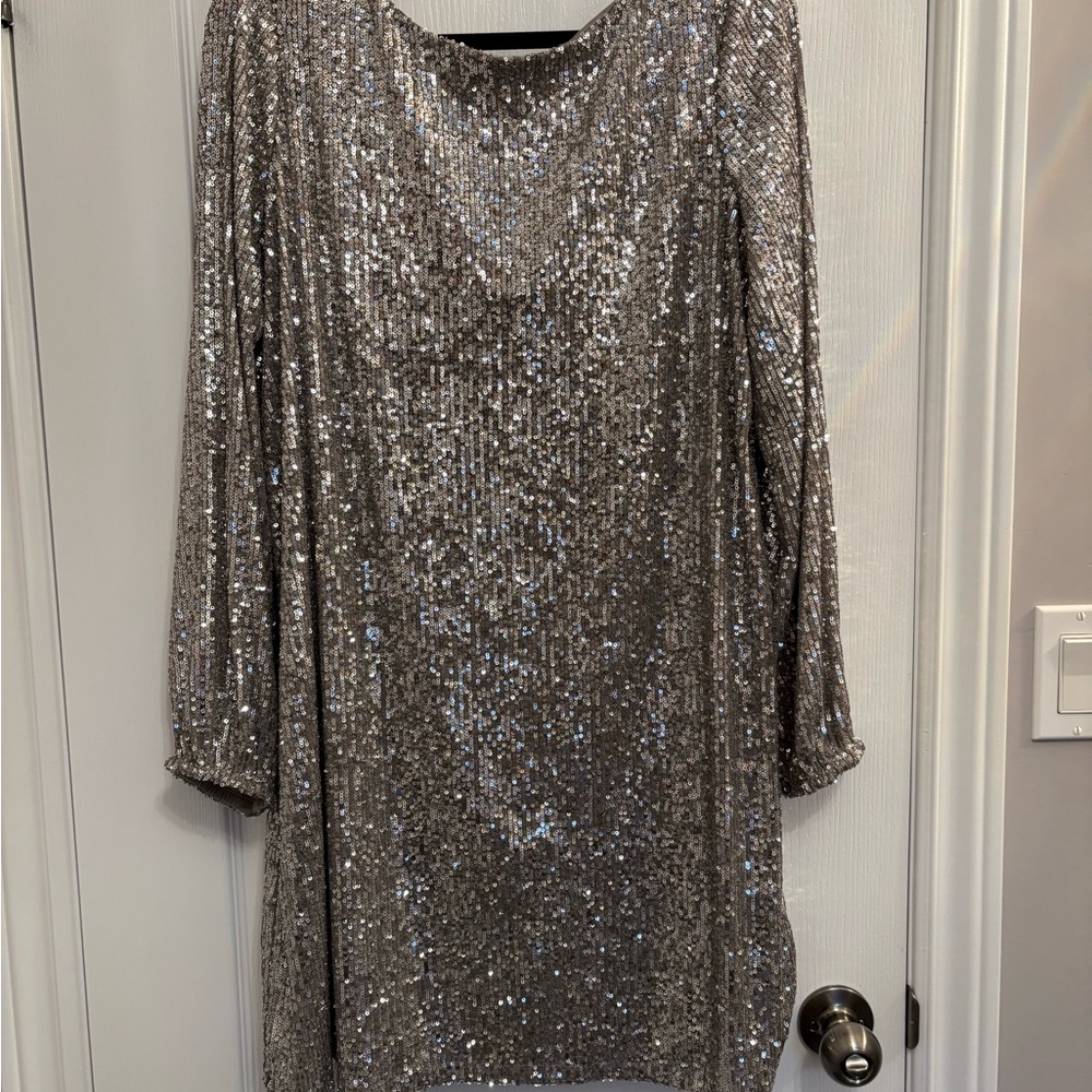 Elegant Silver Sequin Mini Dress